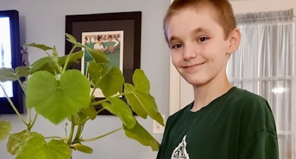a child holding a plant