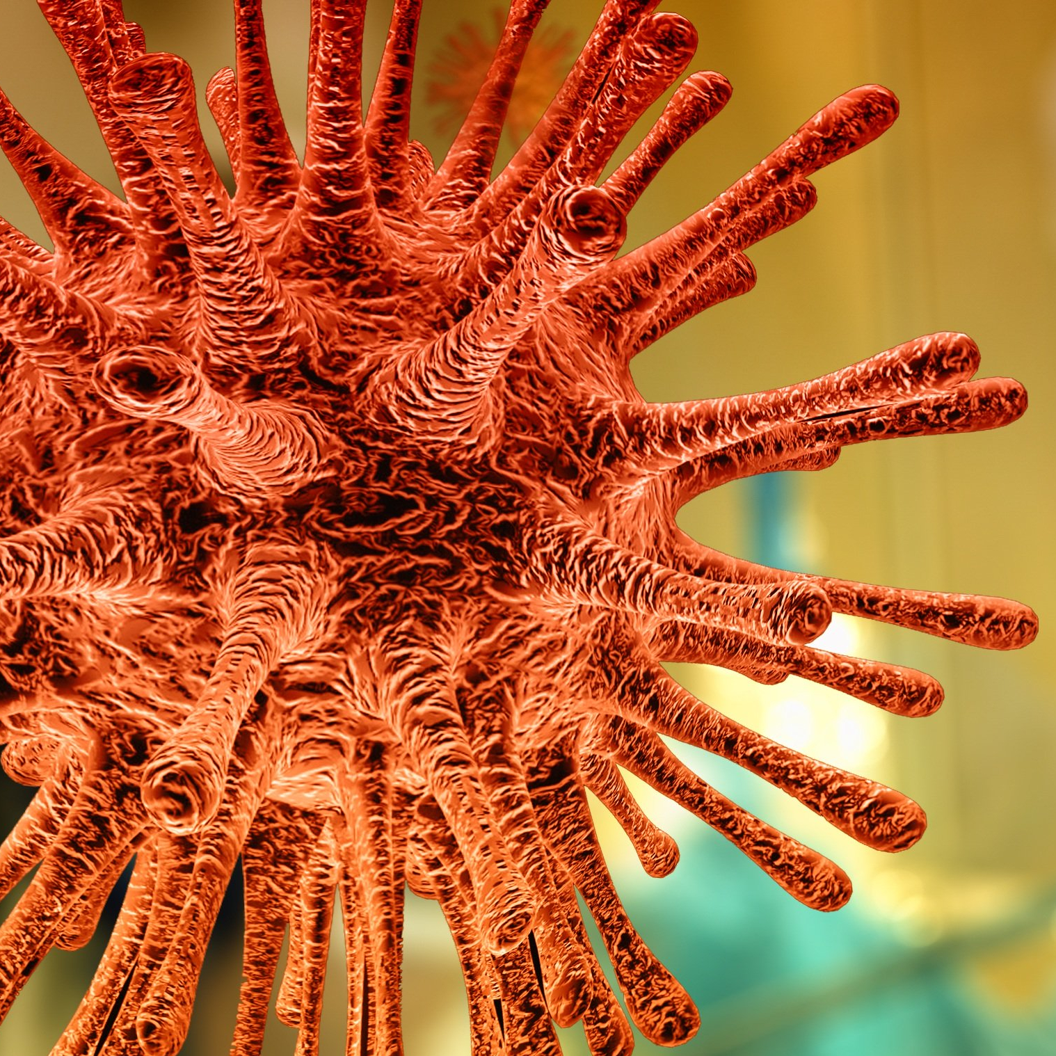 close up of a virus