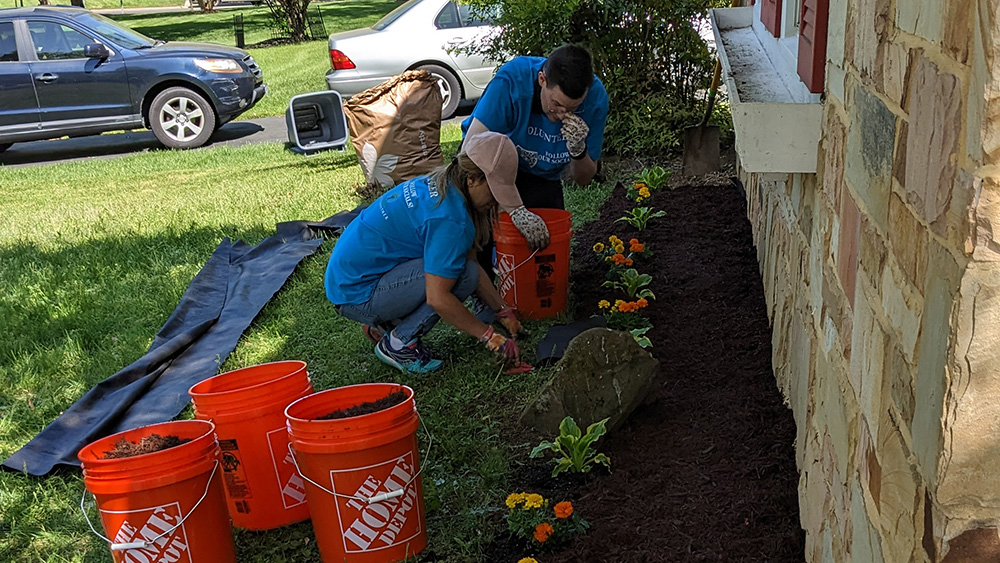 Two people planting a flower bed