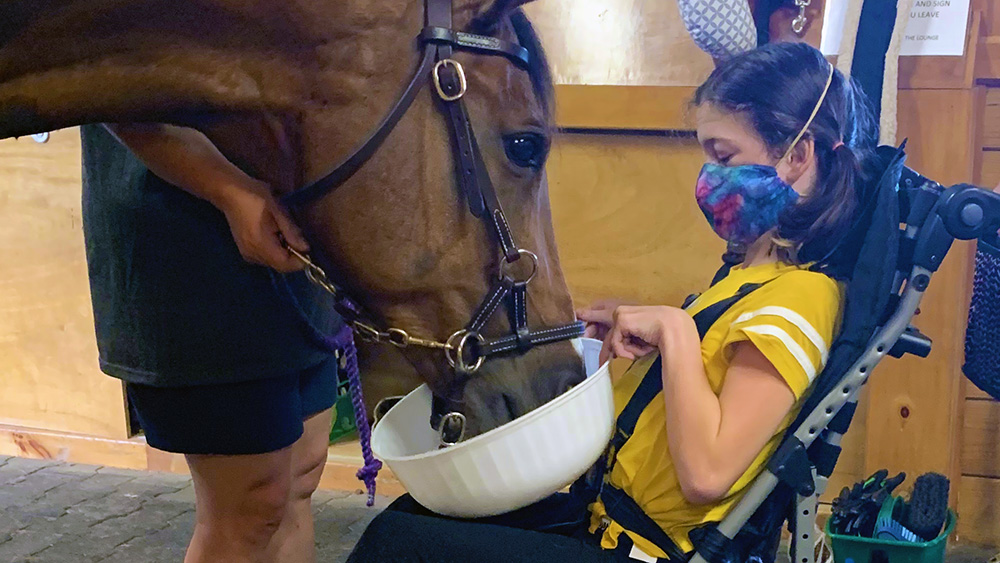 A child in a wheelchair holding a bowl for a horse