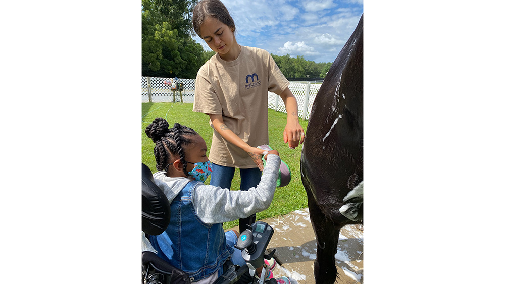 A volunteer with a child working on a horse