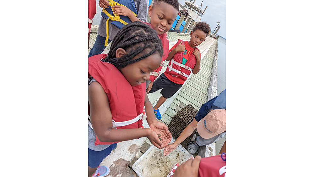 Children holding sandcrabs