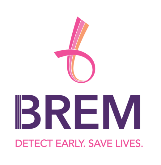 BREM Foundation Logo